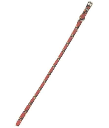 Collare nylon linea strong - Immagine 1