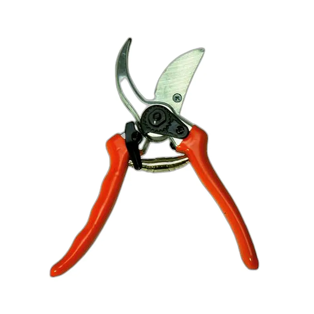 Forbice vigna - Immagine 1