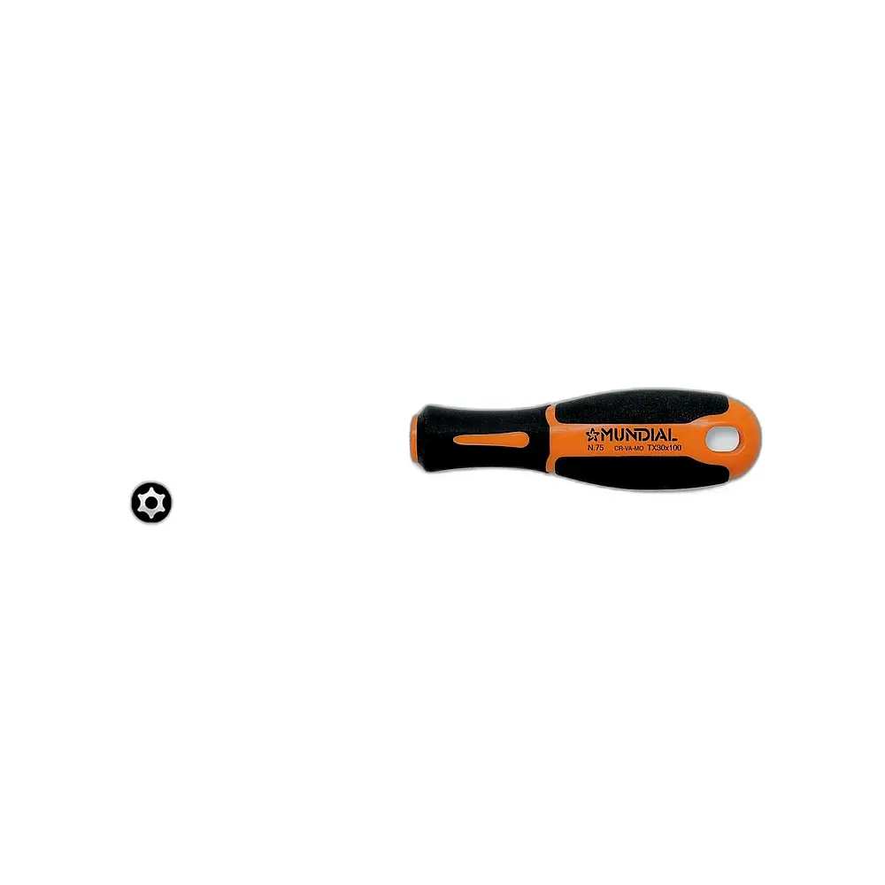 Giravite torx mundial 75 – Misura 30x100 - Immagine 1