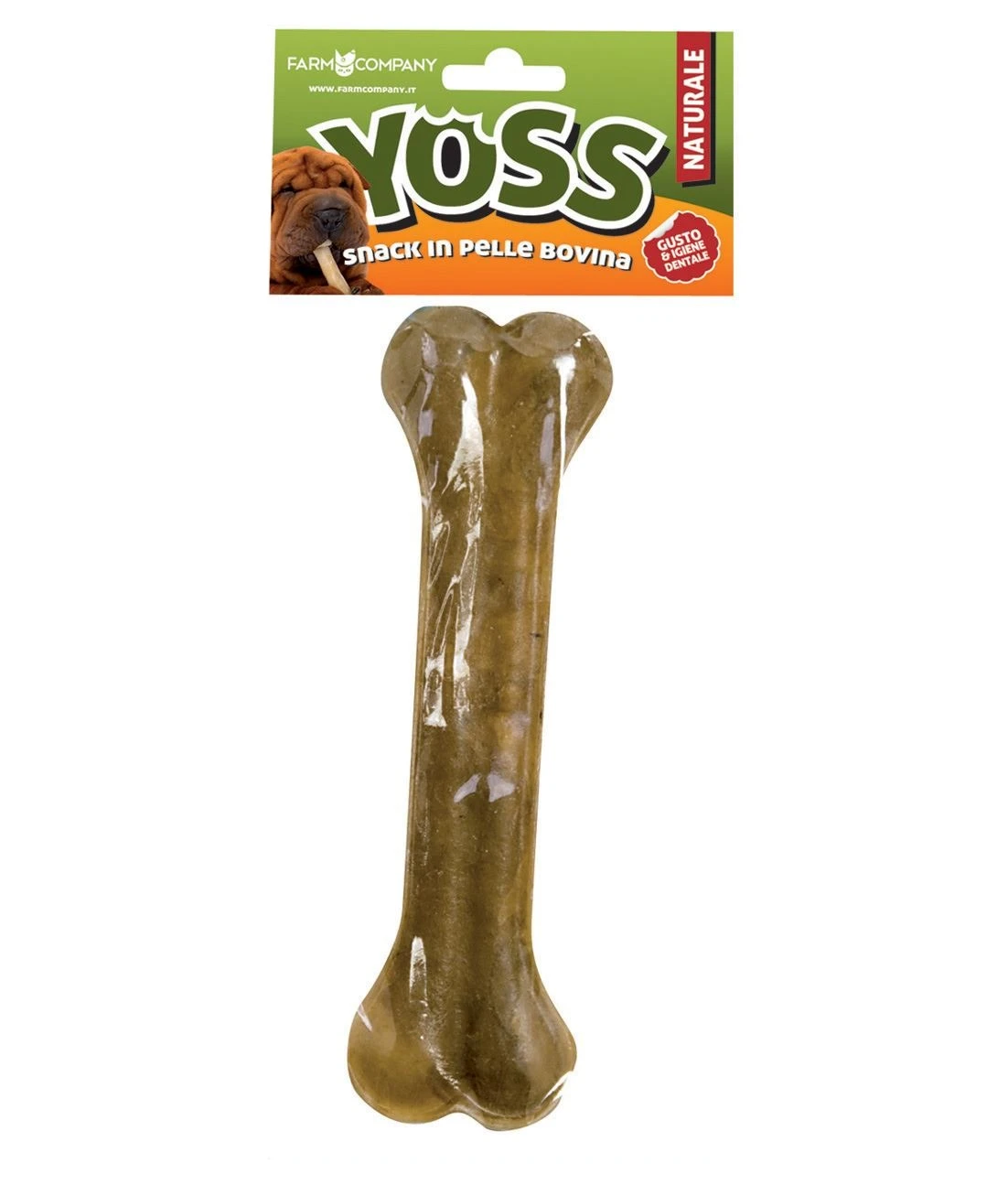 Osso bufalo gigante - Immagine 1