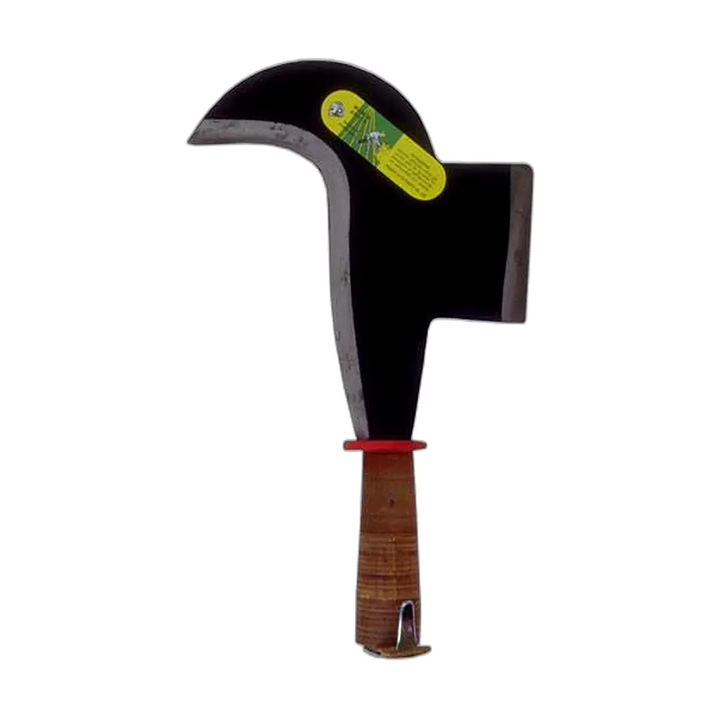 Pennato pisa/toscana - Immagine 1