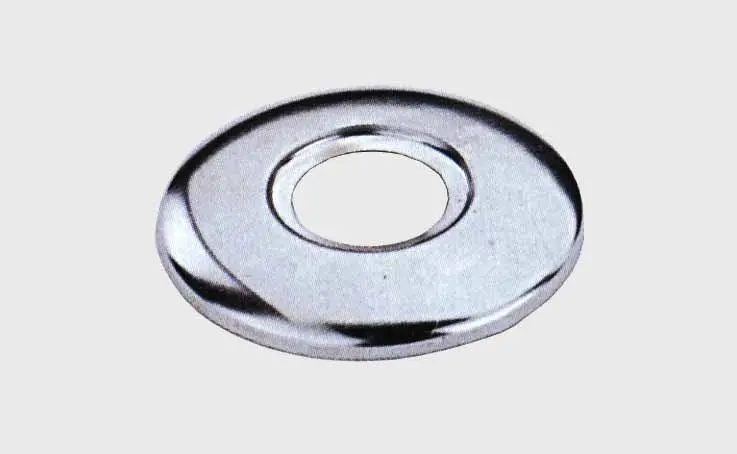 Rosetta normale - Immagine 1