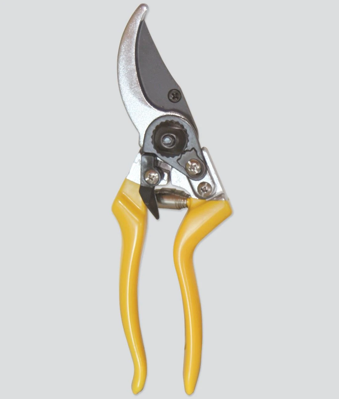 Forbice vigna tipo felco - Immagine 1