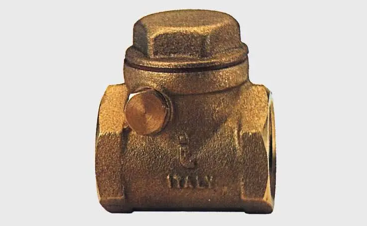 Valvola di ritegno clapet - Immagine 1