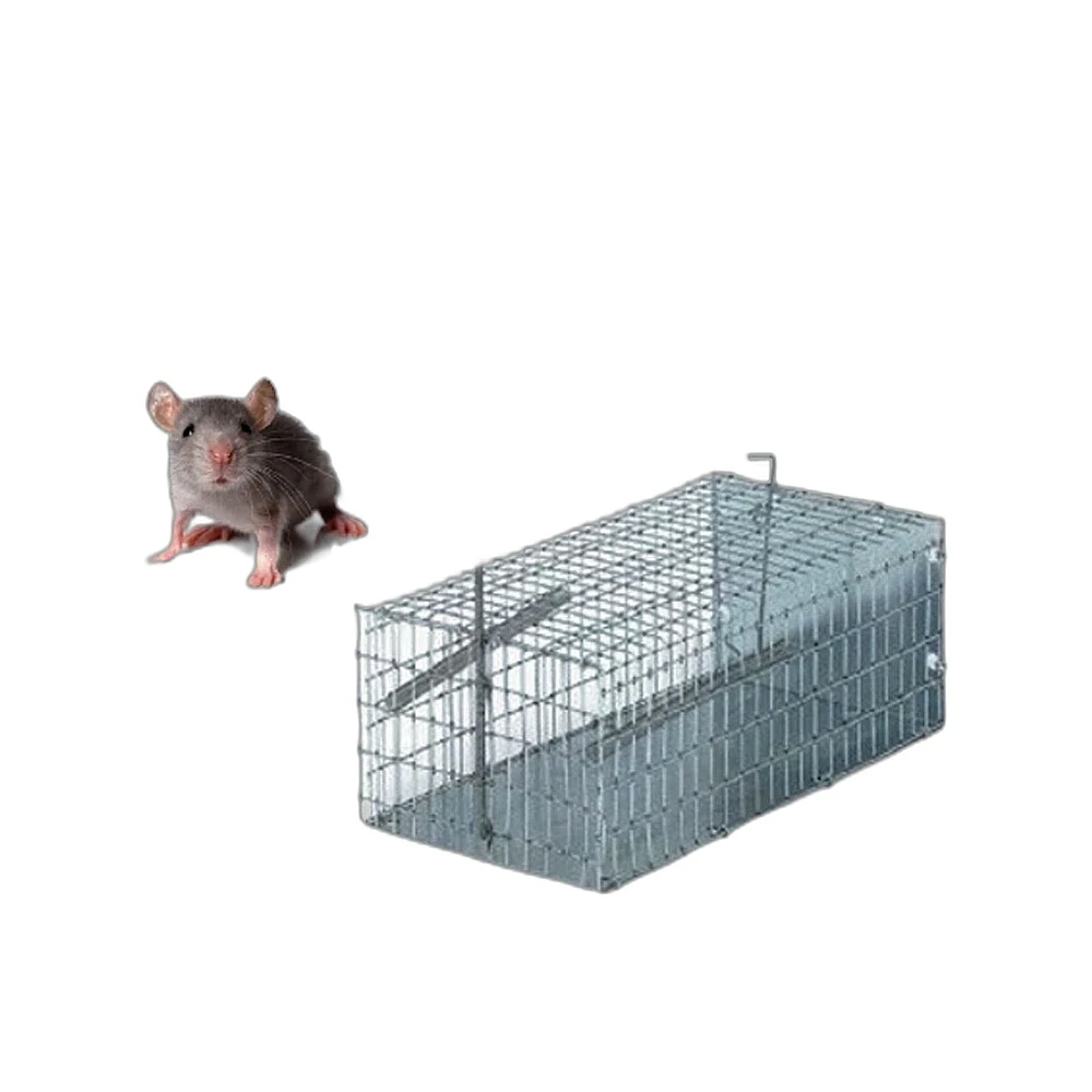 Trappola topi galleria - Immagine 1