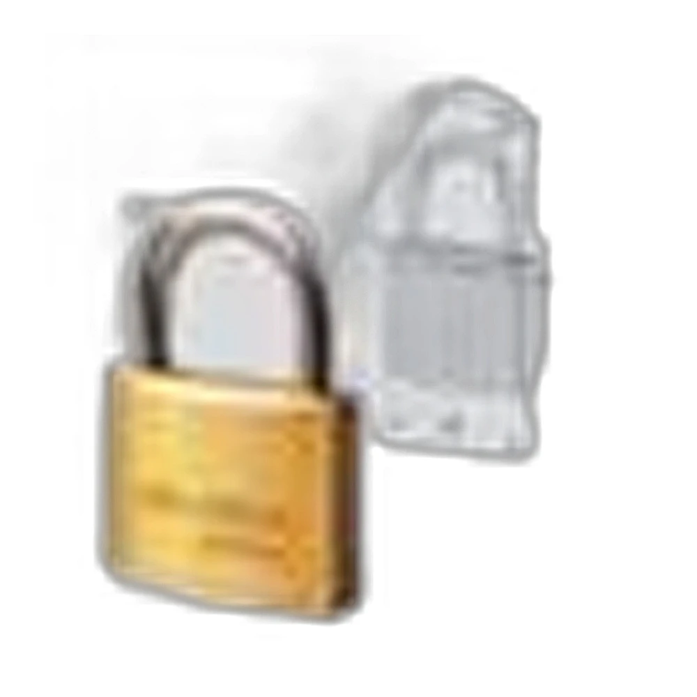 Lucchetto logo cisa 21010
