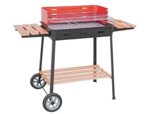 Barbecue Excelsior -  cm. 63 x 43 x 88 h