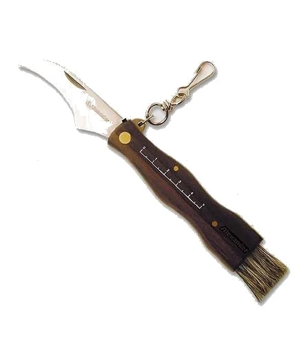 Coltello coglifunghi inox alexander