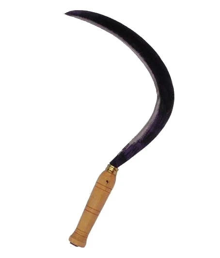 Falciola liscia stretta