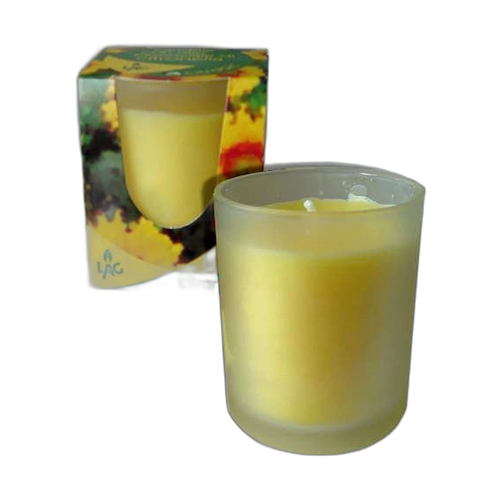 Fiaccola citronella in vetro