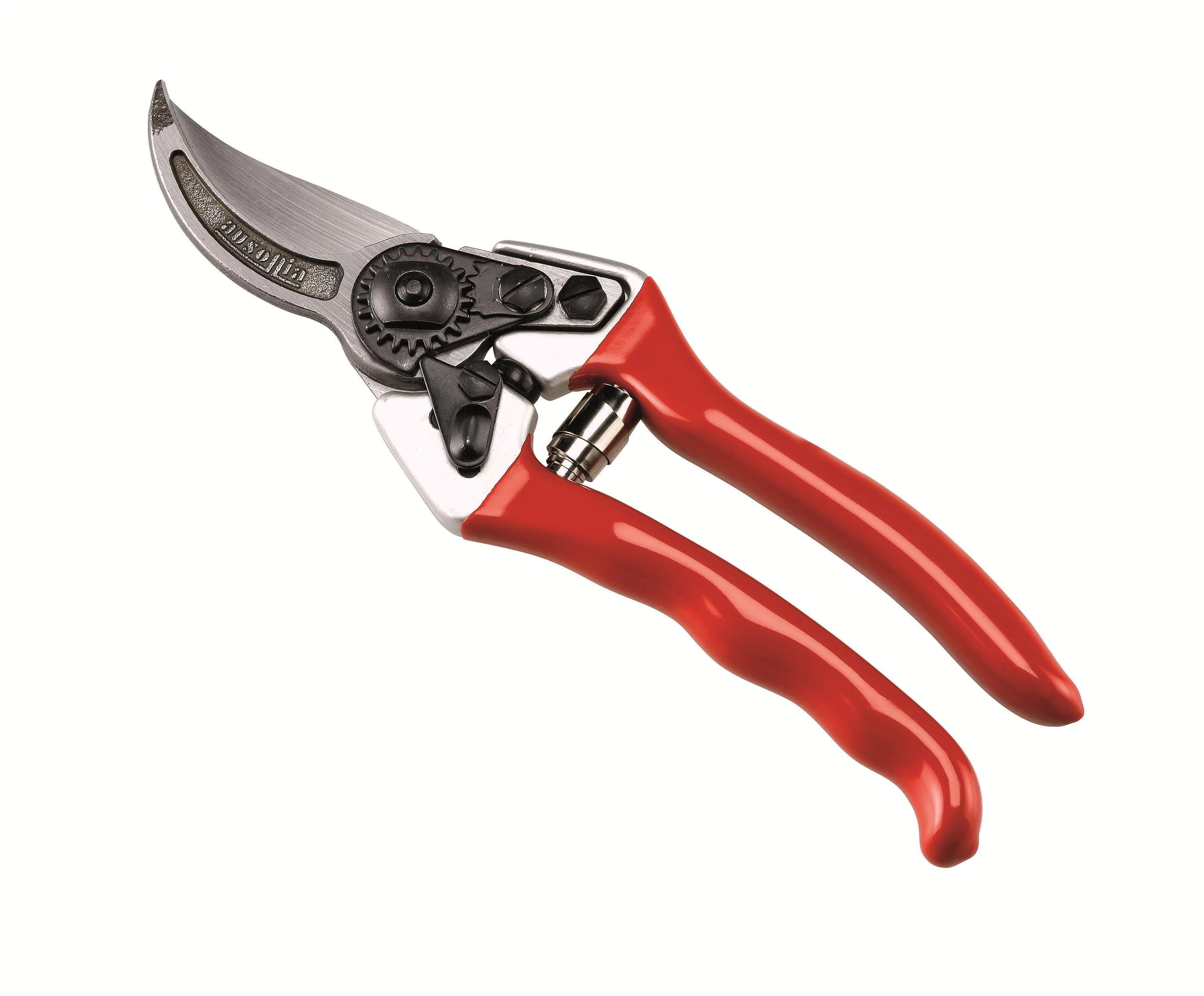 Forbici vigna professionali forgiate ausonia - 81003