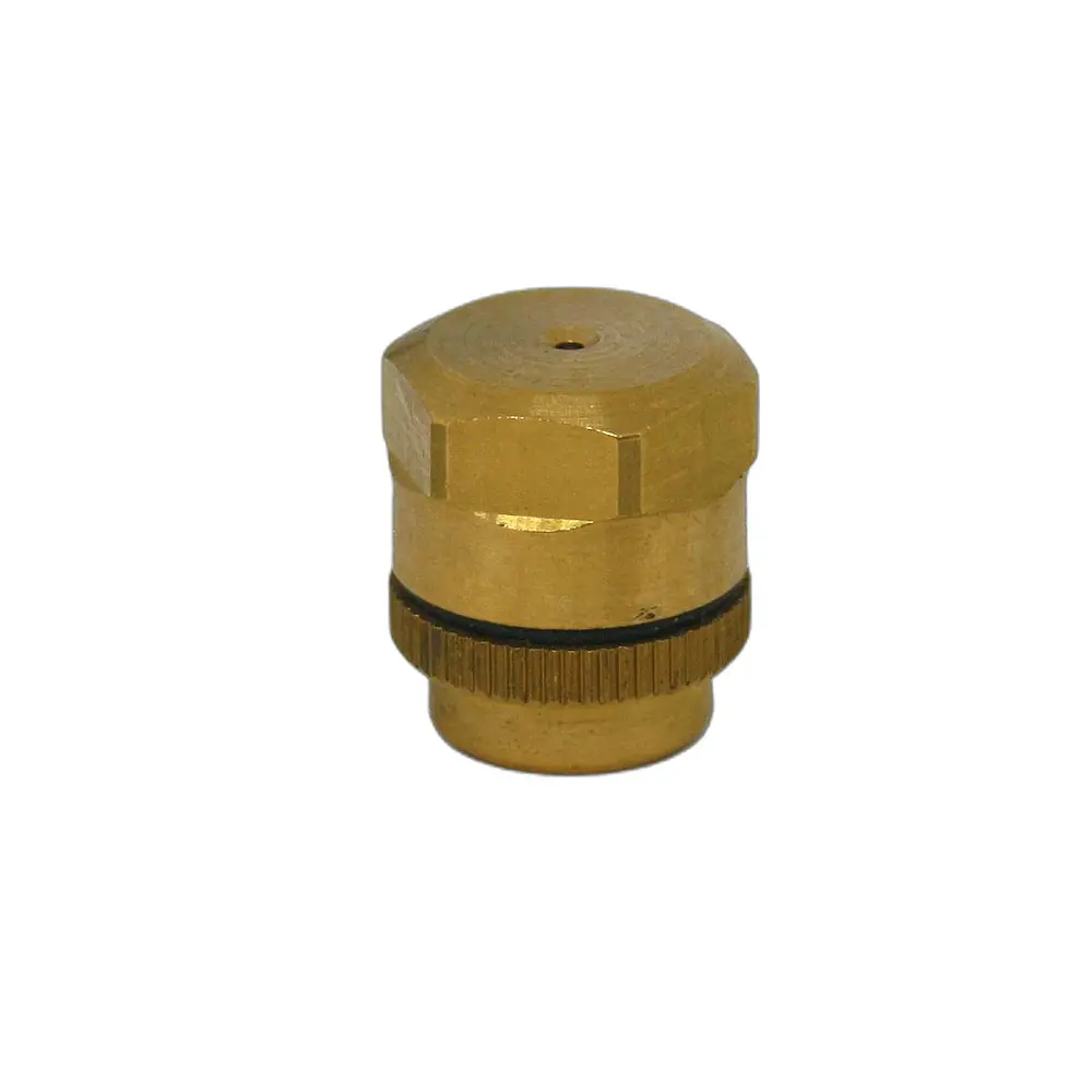 Getto a rosa per lancia