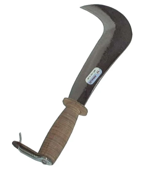 Roncola varese rinaldi