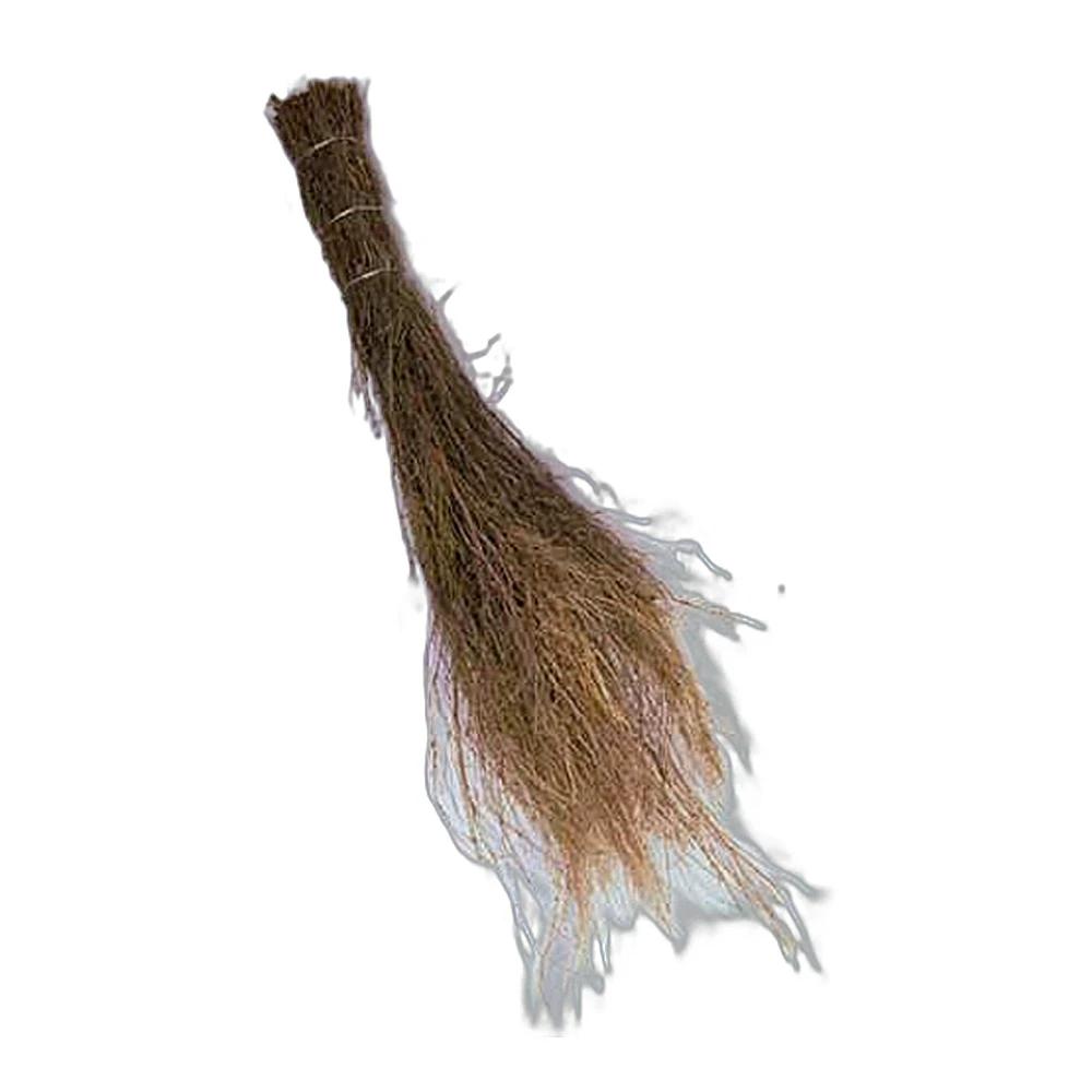 Scopa erica