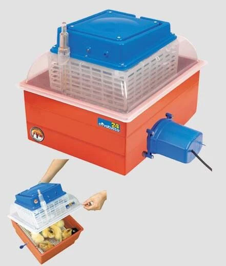 Incubatrice covatutto 24 eco