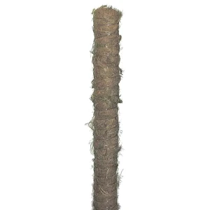 Bastone plastica muschiato