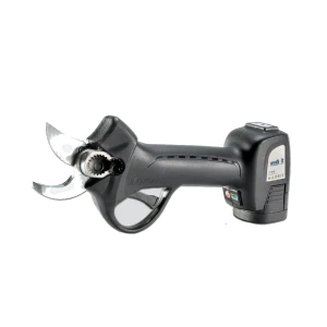 Batteria per forbice e sega potatore work-it