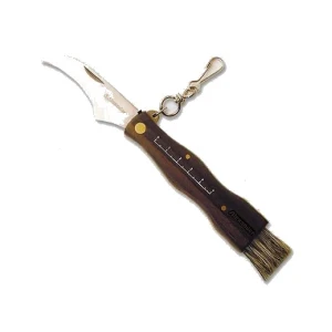 Coltello coglifunghi inox alexander