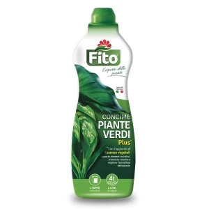 Fito plus piante verdi