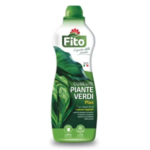 Fito plus piante verdi