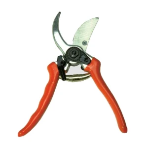 Forbice vigna