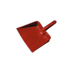 Paletta raccoglipolvere 3s