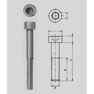 Vite acciaio testa cilindrica con esagono incassato gambo parzialmente filettato